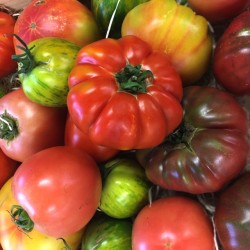 Pack Tomates anciennes - 10 Kg