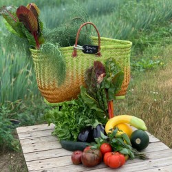 Panier medium