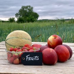 Complément fruits - Mini