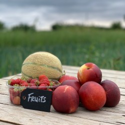 Complément fruits - Medium