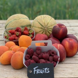 Complément fruits - Maxi