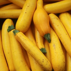 Courgette jaune - Kg