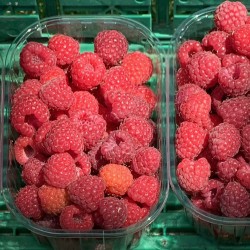 Framboise - Barquette