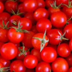 Tomates cocktails BIO - 500g