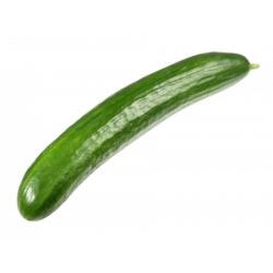 Concombre (Une pièce)