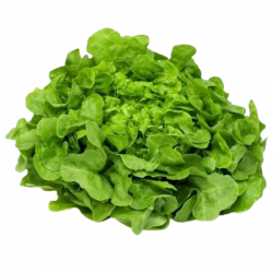 Salade (Une pièce)
