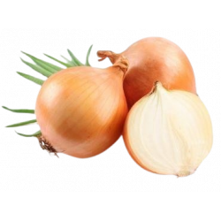 Oignons jaunes (500g)