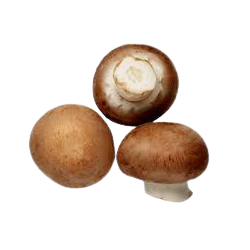 Champignon de Paris (200g)