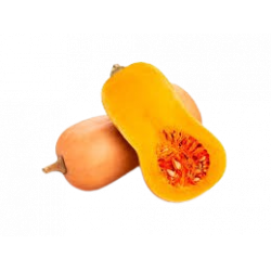 Courge Butternut (1,8Kg)