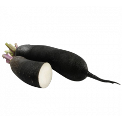 Radis noir (600g)