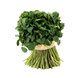 Cresson de Méréville (Une...