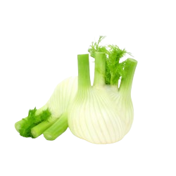 Fenouil (800g)