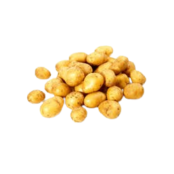 Pomme de terre grenaille...