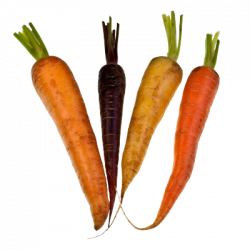 Carotte Rainbow (500g)