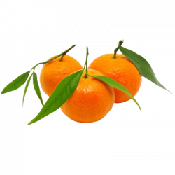 Clémentine Corse (500g)