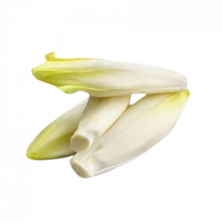Endive (500g)