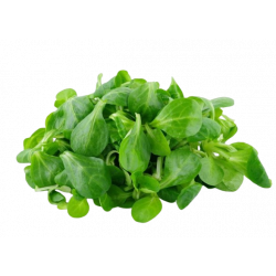 Jeunes pousses de Mâche (200g)