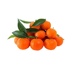 Mandarine (500g)