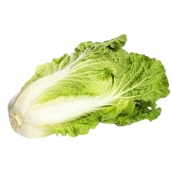 Chou Chinois (Une pièce)