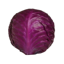 Chou rouge (Une pièce)