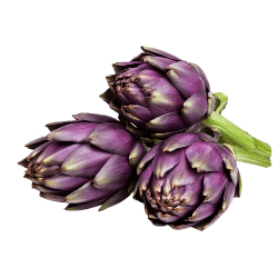 Artichaut violet (800 - 1kg)