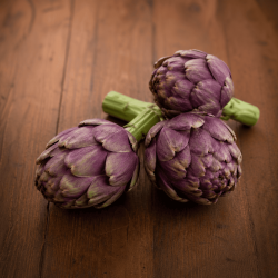 Artichaut violet (800 - 1kg)