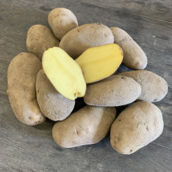 Pommes de terre BIO - Kg